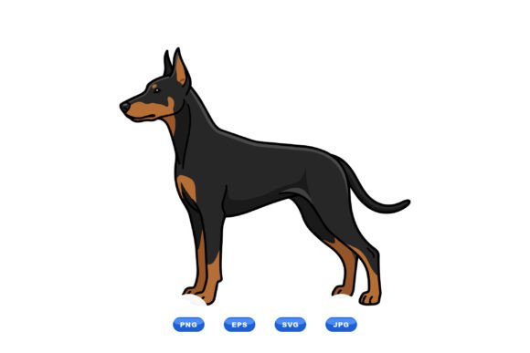 Doberman Pinscher Dog Illustration